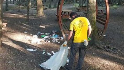 B­e­l­g­r­a­d­ ­o­r­m­a­n­ı­ ­v­e­ ­s­a­h­i­l­ ­ş­e­r­i­d­i­ ­ç­ö­p­l­ü­ğ­ü­ ­d­ö­n­d­ü­
